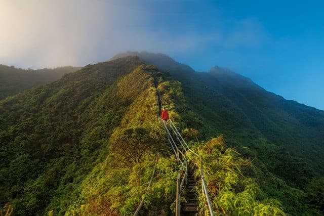 Life Path number 1 person climbing peak of mountain alone