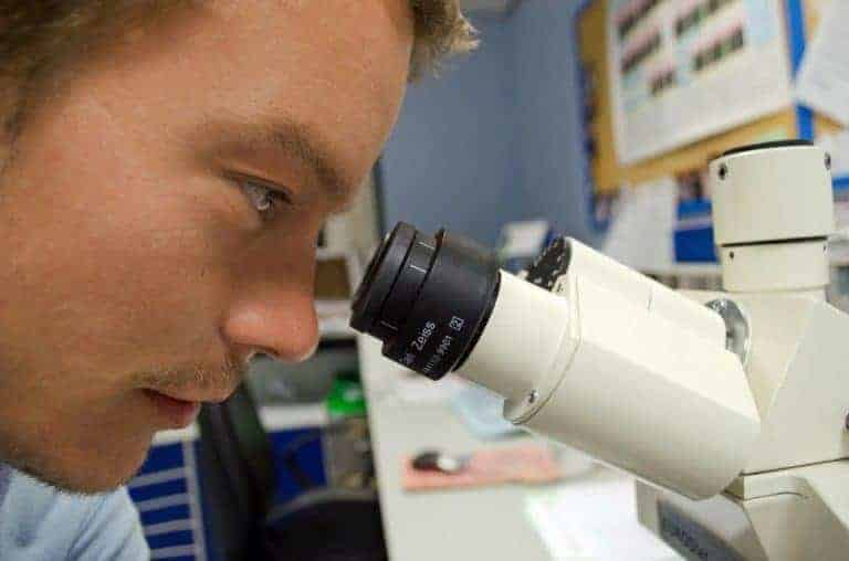 Male Lab worker looking into microscope