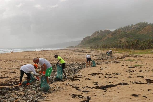 Volunteers Cleaning up a Beach Coast