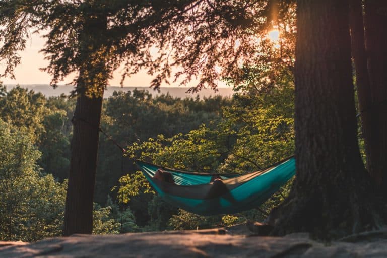 Laying in Hammock near Trees